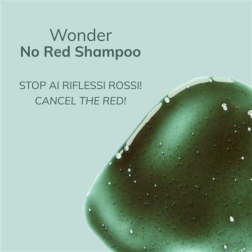 Fanola Wonder No Red Shampoo 1L